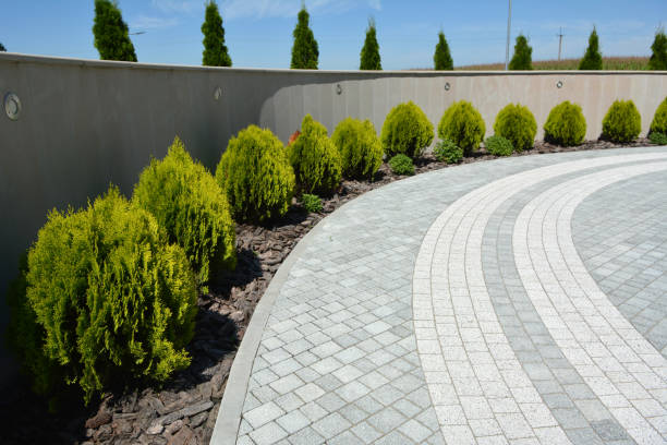 Best Local Driveway Pavers  in Moose Wilson Road, WY